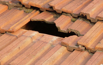 roof repair Llanwddyn, Powys